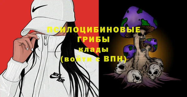 а пвп мука Балабаново