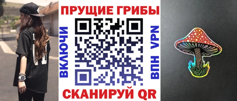 Галлюциногенные грибы мицелий  Барыш 